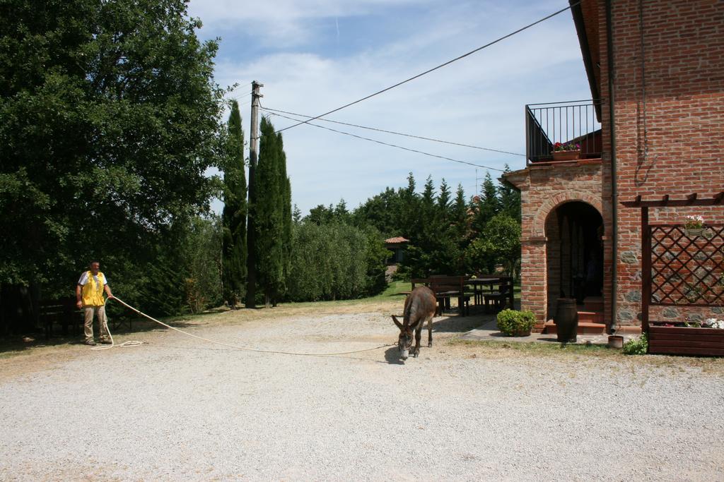Villa Villa Verde